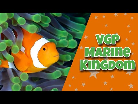 VGP Marine Kingdom | Chennai