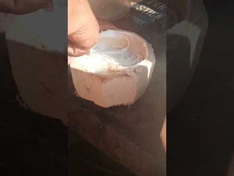 grated coconut  Asmr  #satisfying #coconut #coconutmeat #streetfood #youtubeshorts #Gatchie Jr