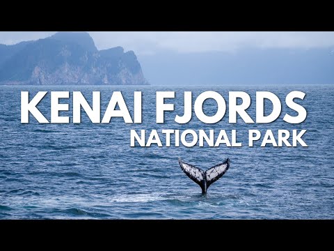 Kenai Fjords National Park Boat Tour + Glaciers & RARE Bubble Feeding Whales