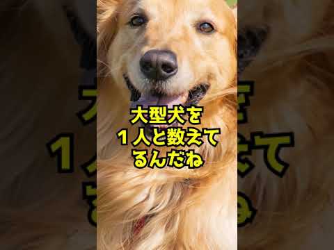 Q 犬を「一人分」と数える会社の家賃補助とは　#Shorts