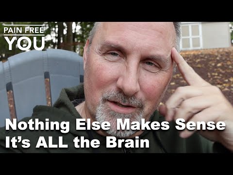 Nothing Else Makes Sense - It's All the Brain