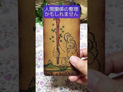 【タロット】🌴今のあなたに必要な一言メッセージ💌✨🔮