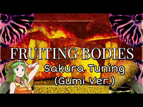 [R.I.P] Fruiting Bodies - Sakura Tuning (Gumi Ver.) [+VPR/VSQX]