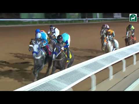 RIYADH RACING SEASON MEETING NO 51 RACE NO 9