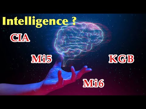 What Is Intelligence ? Where Does it Begin ?