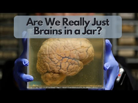 Are We Really Just Brains in a Jar?