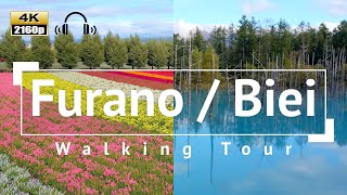 [4K/Binaural Audio] Furano / Biei Walking Tour - Hokkaido Japan