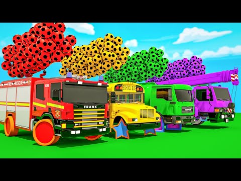 Baby Shark + Bingo Song + Rain Rain Go Away-Soccer ball in Bossein, Baby Nursery Rhymes & Kids Songs