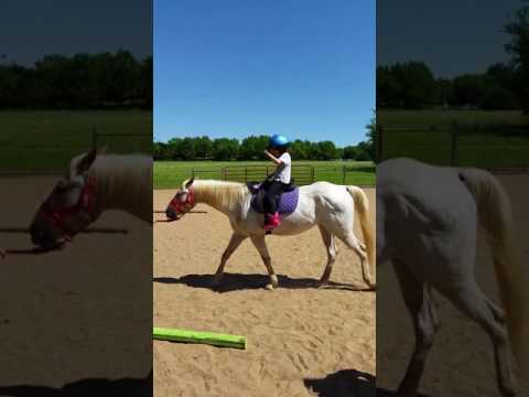 Chloe's First Horse Ride - May 30, 2017