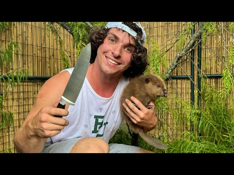 How to Catch and Cook a Baby Beaver (full tutorial)