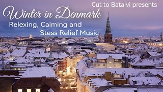 Danish Winter | Relaxation & Mediation Music | Enjoy Snow with Fire & Warm | Stress Relief Music