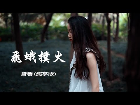 纯享版 《飞蛾扑火》 【动态歌词 Lyrics】「是否冥冥之中，注定你我没有结果，为何还要飞蛾扑火，是被情所困是为爱蹉跎」