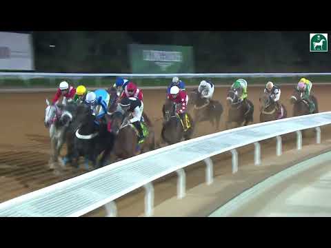 RIYADH RACING SEASON MEETING NO 51 RACE NO 12