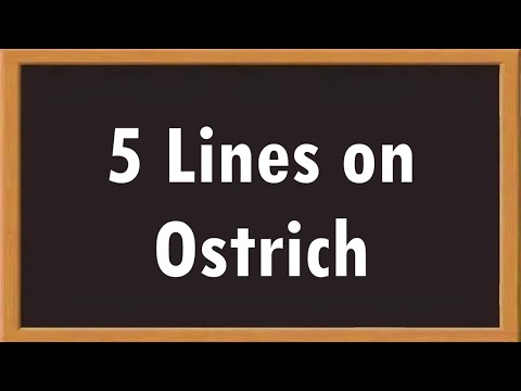 Ostrich 5 Lines Essay in English || Essay Writing