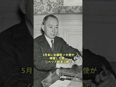 「シベリア抑留」に気付かなかった日本政府#戦史 #ゆっくり解説  #ww2