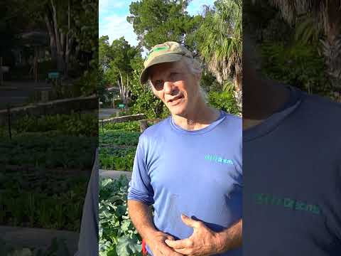 Bittersweet Changes to his Farm #garden #permaculture #gardening #sustainability