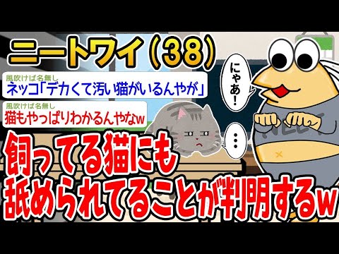 【2ch面白いスレ】「飼い猫にさえバカにされてる気がするんやが、ワイってかなり格下なんちゃう？」【ゆっくり解説】【バカ】【悲報】