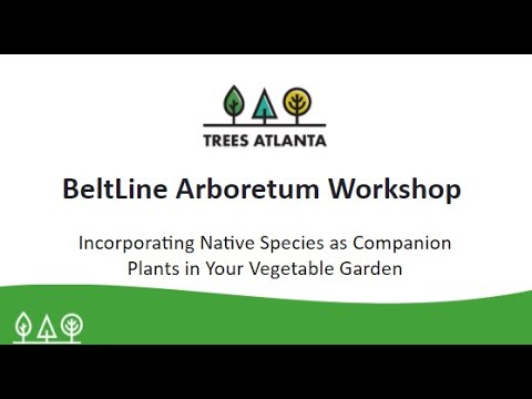 BeltLine Arboretum Workshop: Native Species as Companion Plants in your Vegetable Garden