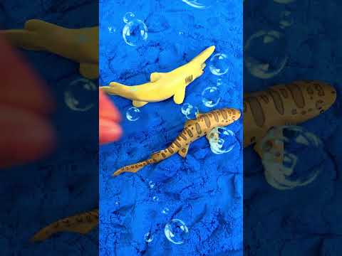 Shark Toys for Kids In Colorful Sand #shorts