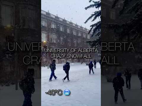 (4K) Crazy Snow at University of Alberta, Canada Winter Snow Walk | #snowstorm #snowfall #alberta