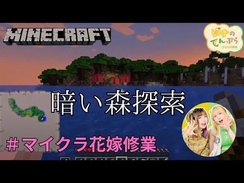 アラサー独身女達がMineCraftで花嫁修業＃14