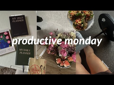 productive monday | new planners, budgeting, mcat prep updates, & grocery haul!