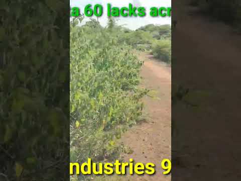 3 #acre 20 #gunta #landforsale #neatzacurazvansidani #nimz #industries #highway #gangwar #9640041044