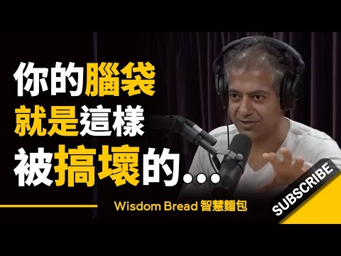 你的腦袋就是這樣被搞壞的... ► 你只能孤身作戰，沒有人會來幫你... - Naval Ravikant 納瓦爾·拉維坎特（中英字幕）