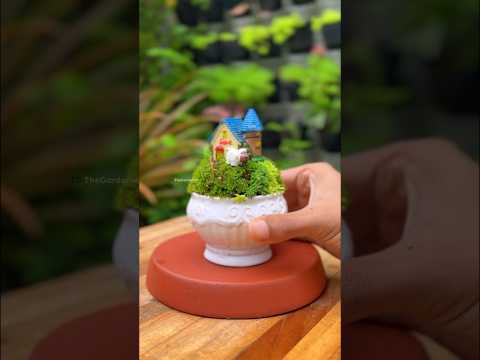 Tiny Fairy moss garden #mossgarden #fairygarden #ytshorts