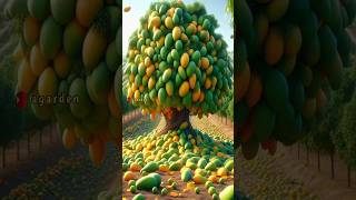 The best and easy method for growing mango trees from seeds.#gardeningtips