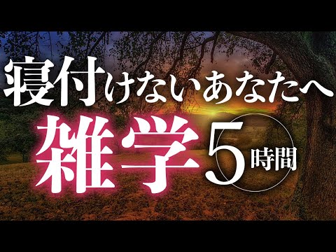 【睡眠導入】寝付けないあなたへ雑学5時間【合成音声】