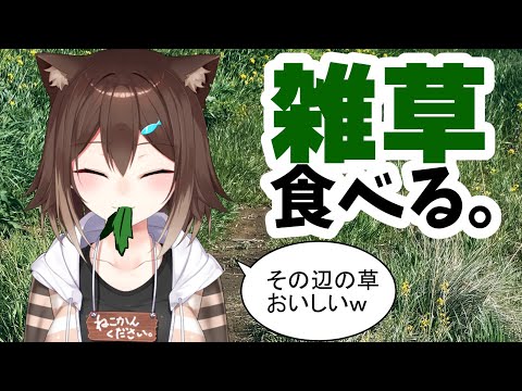 【料理】雑草でフルコースつくってみた【にじさんじ】