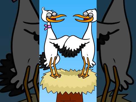 Even Storks Need to be Careful – Hooray Kids Songs #shorts #nurseryrhymes #kids #funnyvideo