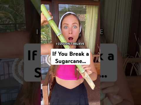 I Couldn't Believe That If You Break a Sugarcane...