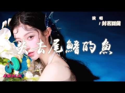 封茗囧菌 - 失去尾鰭的魚『閉上了眼睛視線不清晰，原來我的愛自作多情。』【動態歌詞 | Pinyin Lyrics】【AWALK MUSIC】