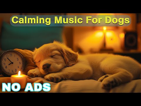 12 HOURS of Relaxing Music For Dogs💖🐶Anti Separation Anxiety Relief🐶💖Pet music🎵 Deep Sleep🐶