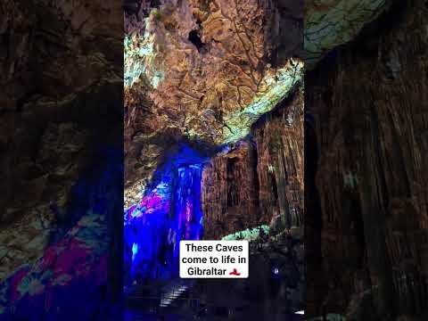 These Caves Come to Life in Gibraltar #shorts #gibraltar #stmichaelscaves