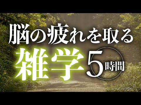 【睡眠導入】脳の疲れを取る雑学5時間【合成音声】