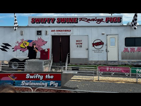 2024 |SWIFTY SWINE Racing 🐖🐷 | Life’s Little Joyz |#racing #pig #animals #fun  #entertainment