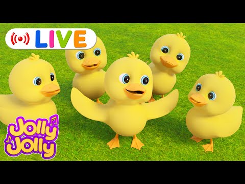 LIVE🔴🦆Five little ducks🦆, Bingo, Muffin man + More |  Jolly Jolly & Animals - Best Kids Songs!