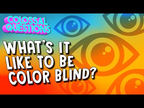 What is it Like to Be Colorblind? | COLOSSAL QUESTIONS