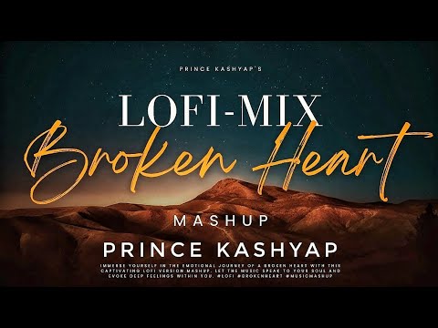 Broken Heart - LOFI Mashup 2024 | Prince Kashyap | Stebin Ben |Ashiwini Bhardwaj | Bollywood lofi