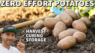 How To Grow Potatoes With NO Work With This FREE Method