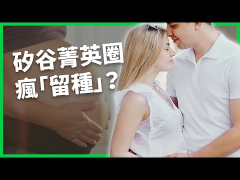 矽谷瘋留種？菁英們開始瘋狂生孩子？「生育主義」浪潮真是未來解方嗎？  【TODAY 看世界】