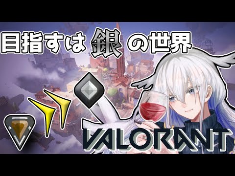 【VALORANT】ブロンズの底までローリンガール【天依 紡】