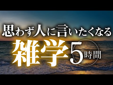 【睡眠導入】思わず人に言いたくなる雑学5時間【合成音声】