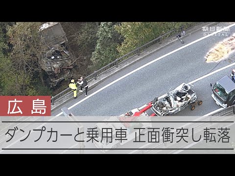 ダンプカーと乗用車が正面衝突、道路下に転落　2人死亡2人けが