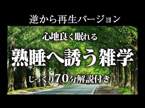 【逆から再生】熟睡へ誘う雑学【リラックス】じっくり70分解説付き♪