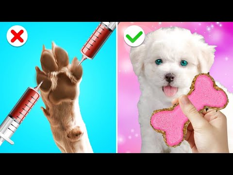 We Saved A Little Puppy - Genius Gadgets & Hacks for Pet Owners by Gotcha! Viral