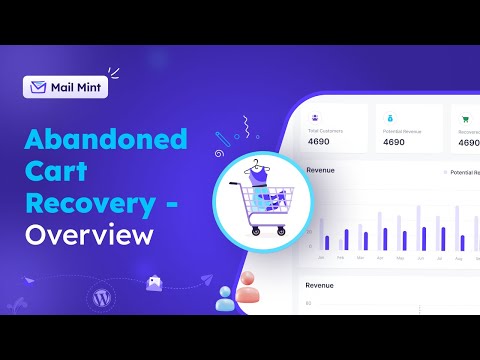 Abandoned Cart Recovery Overview - Mail Mint